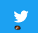 Birdy